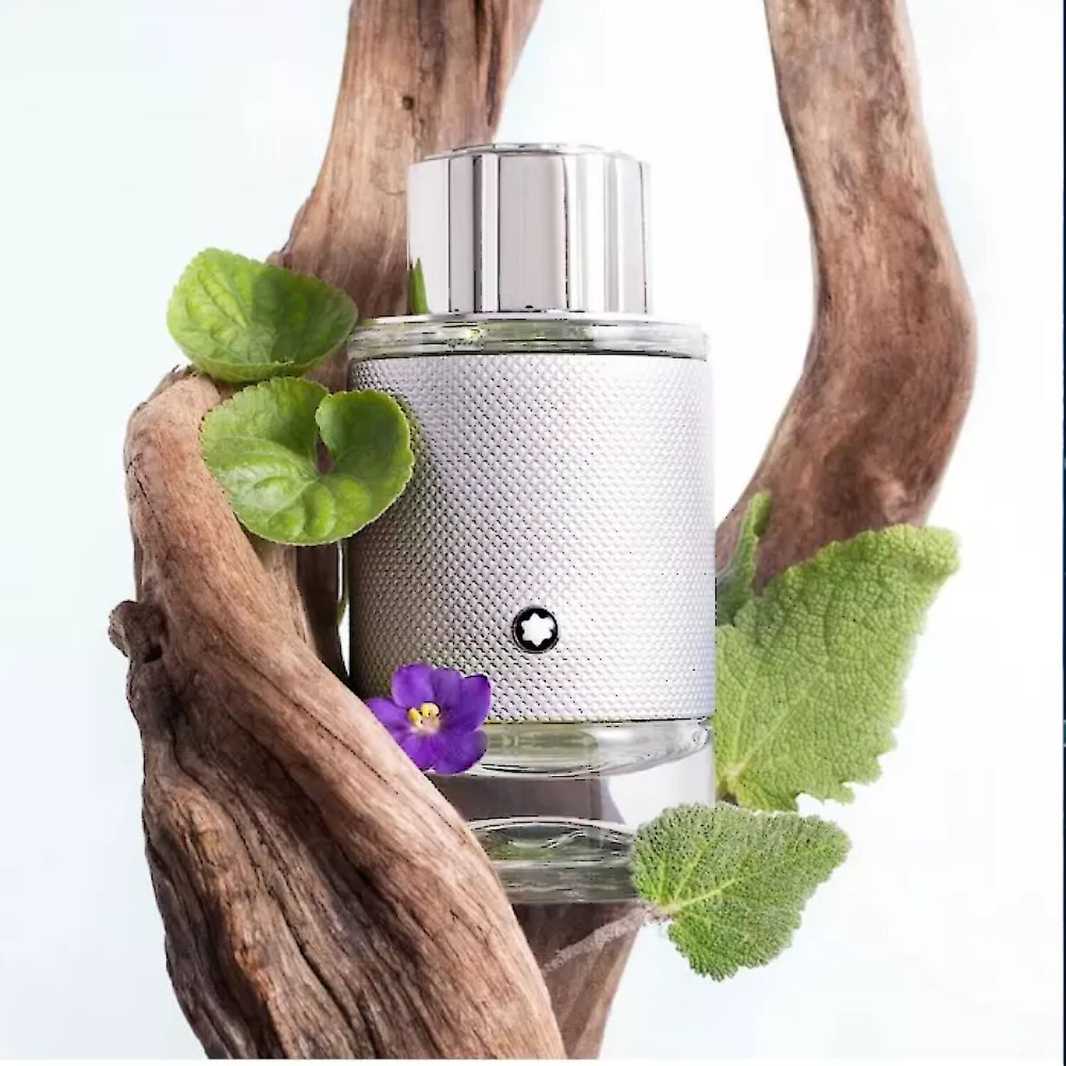 Montblanc Explorer Platinum Eau de Parfum