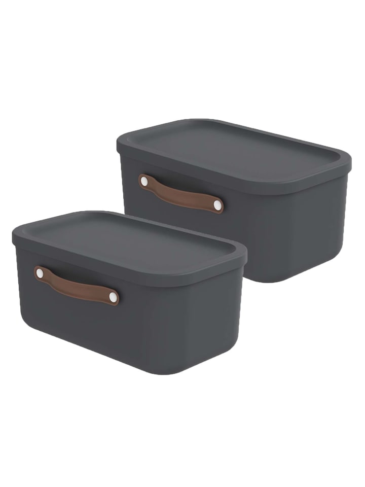 Rotho 2er-Set Kiste mit Deckel Maloja 12l in Holzkohle schwarz ged. günstig kaufen onesize