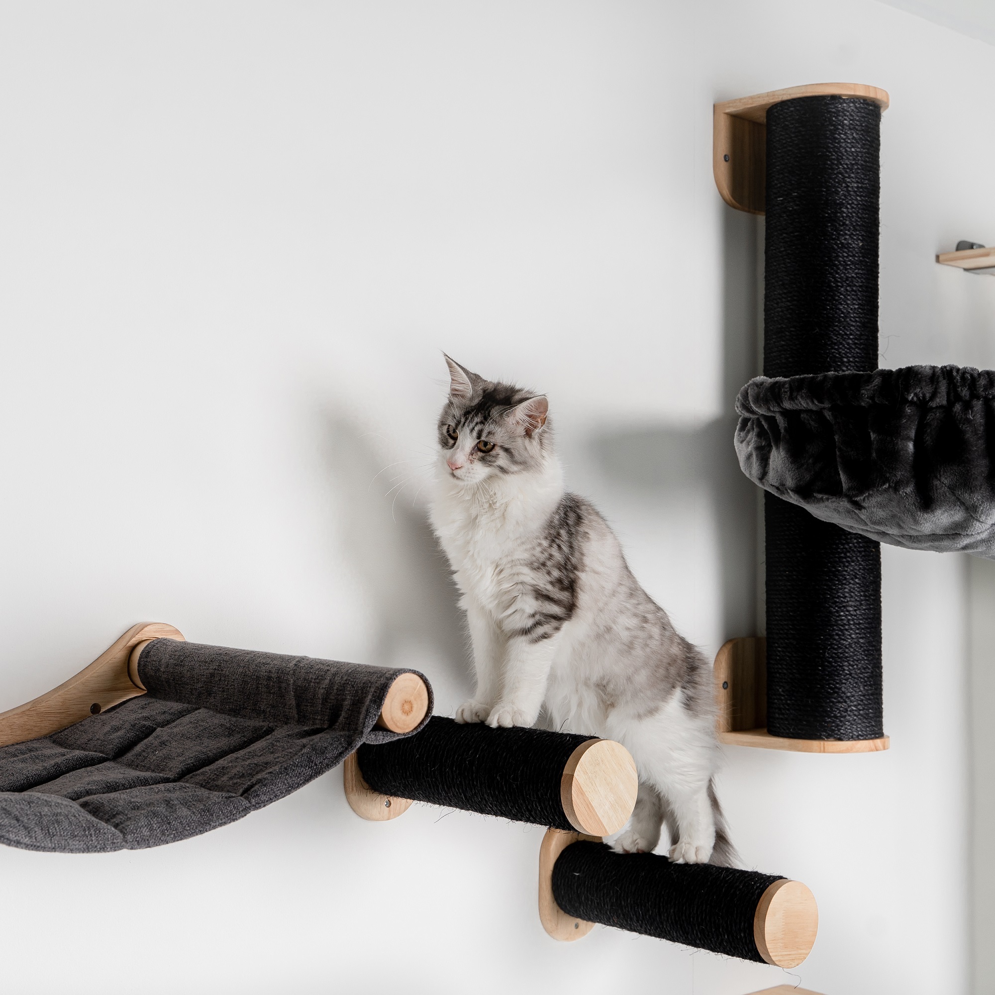 RHR Quality weiteres Katzenspielzeug RHR Quality RHRWandmöbel Wand Sisalstämmen Set schwarz