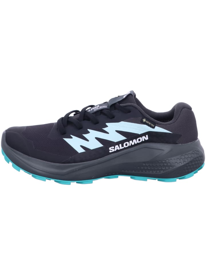 SALOMON Wanderschuhe ALPHAGLIDE GTX W in Grau günstig kaufen