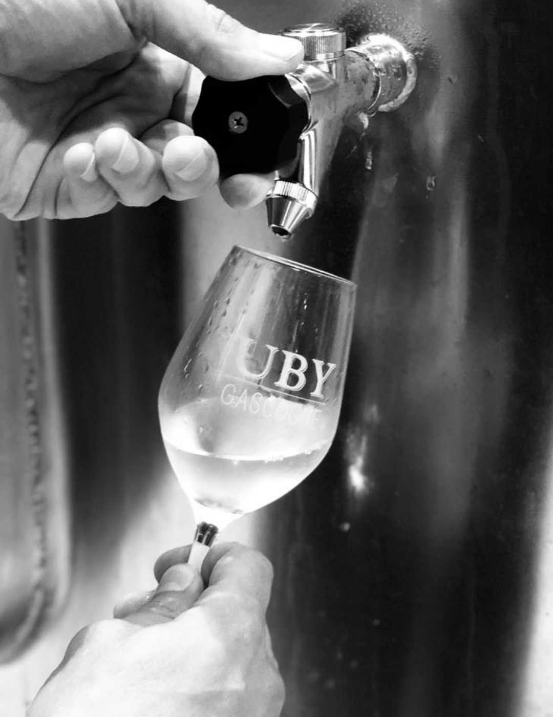UBY : Sauvignon Blanc bio 0% - Gueule de joie 0° |  75 cl