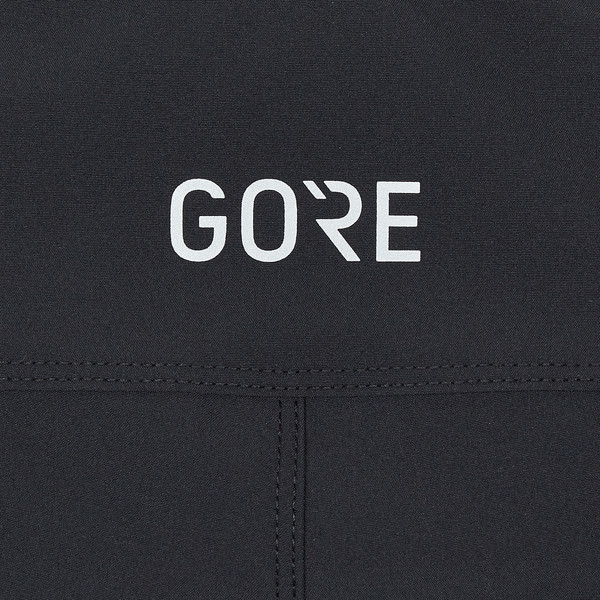 GORE WEAR PASSION SHORTSS Damen - Radshorts