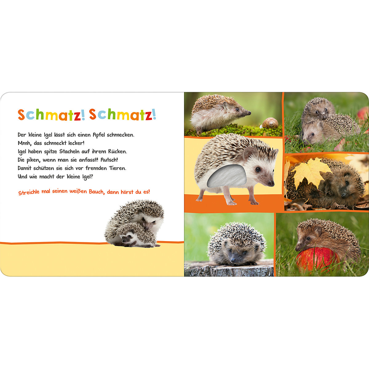 Hör mal rein, wer kann das sein In der Natur, Soundbuch mit Naturgeräuschen