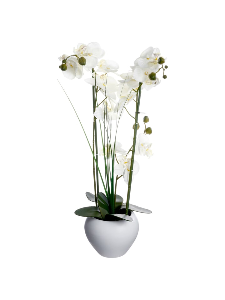 Atmosphera Créateur d'intérieur Künstliche Orchidee in mehrfarben günstig kaufen onesize