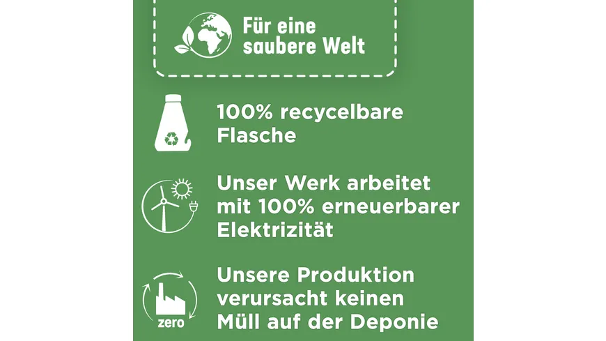 Somat Intensiv Maschinen Reiniger 0.25 l