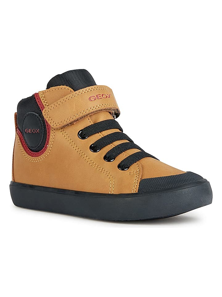 Geox Sneakers 