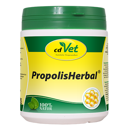 cdVet Ergänzungsfutter & Aufzucht cdVet PropolisHerbal 20g 450 g