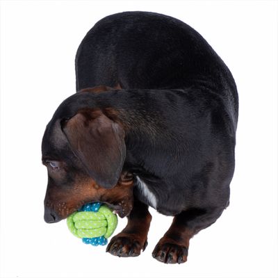 Hundespielzeug Limoen Ball