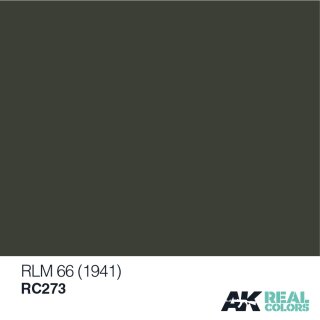 AK Real Colors RLM 66 (10ml)