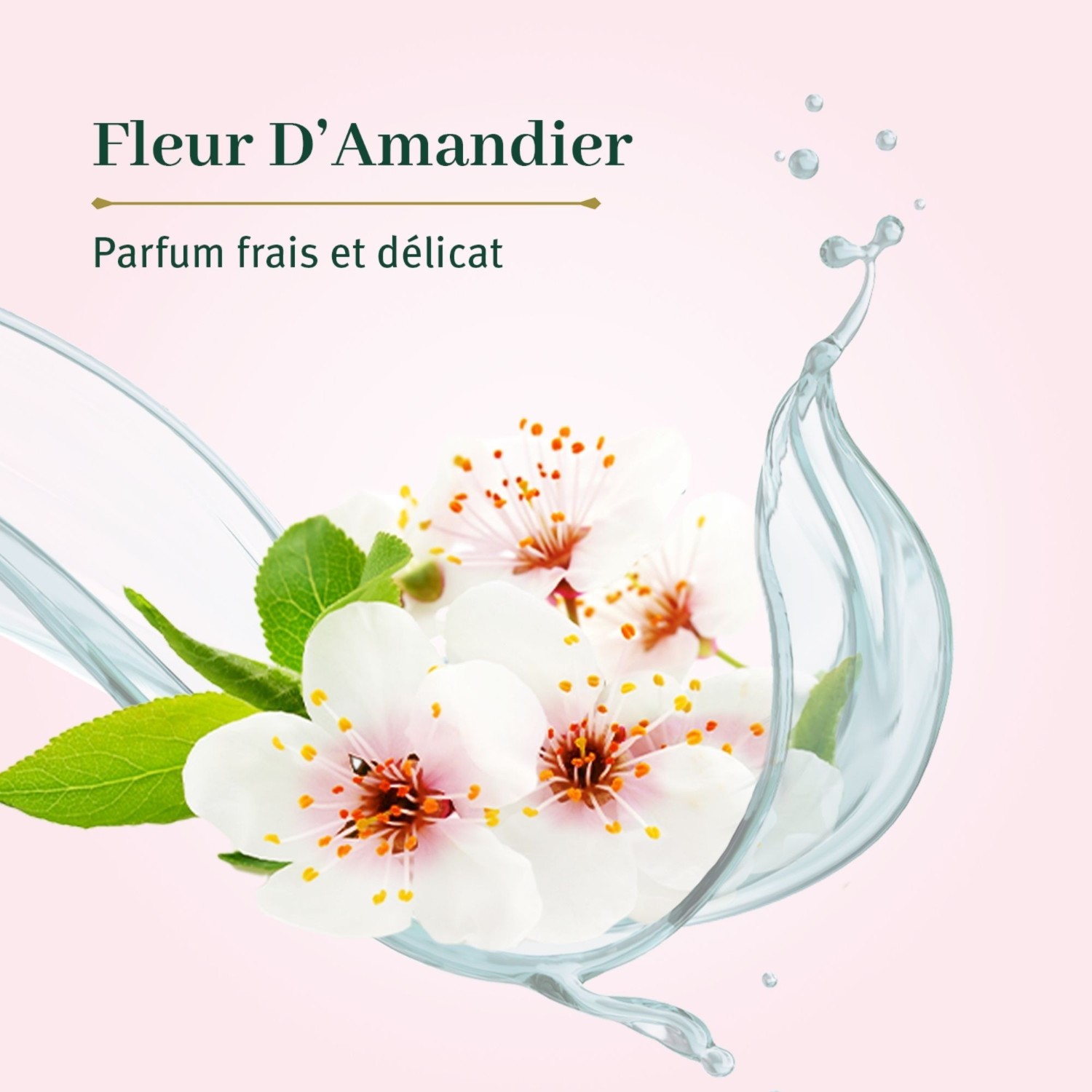 Gel de duș cu flori de migdal Le Petit Olivier