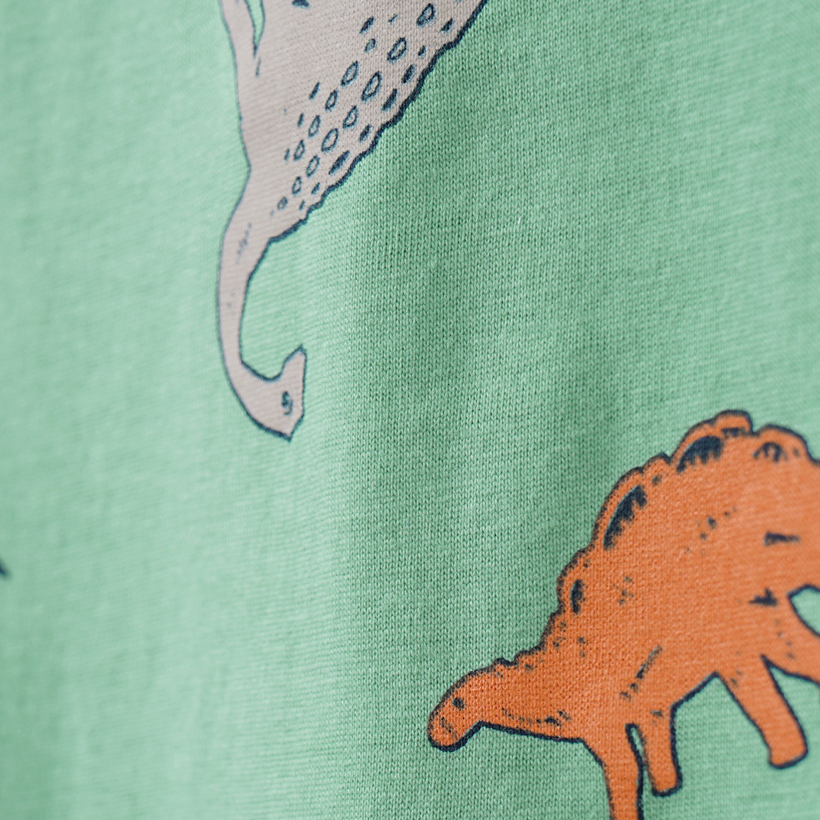 Jungen Langarmshirt mit Dino-Allover