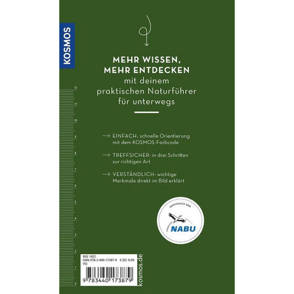 BASIC PILZE - Ratgeber