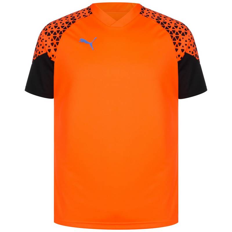 PUMA individualCUP Training Trikot Herren