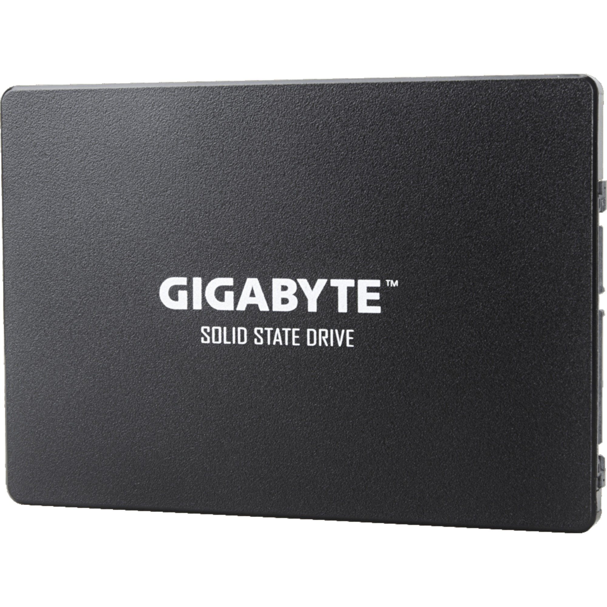Gigabyte GIGABYTE SSD 256 GB, (SATA 6 Gb/s, 2,5) SSD-Festplatte