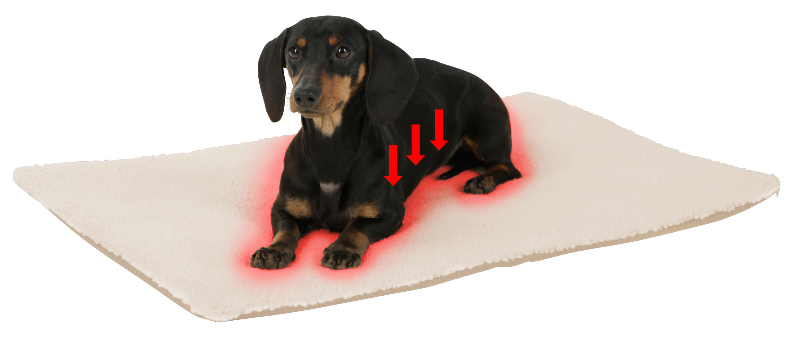 Kerbl Hundekissen Kerbl Pet Liegekissen Theo, Beige, 75x50x3cm L