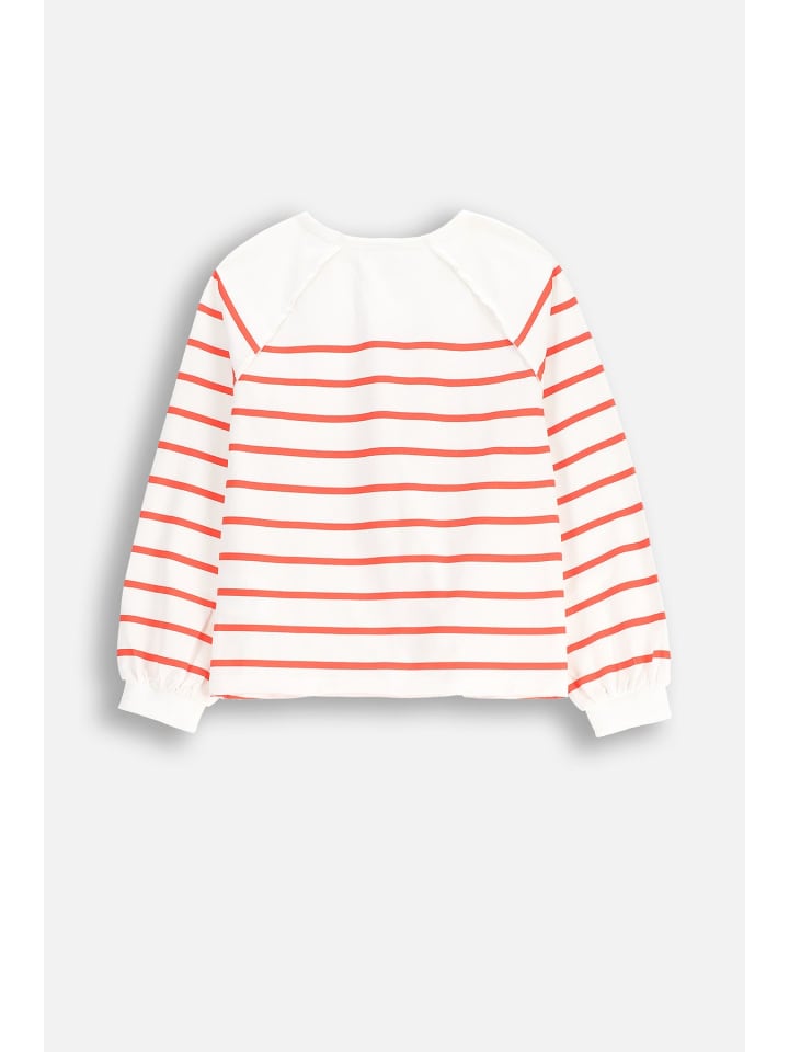 Coccodrillo Langarm-T-Shirt in bunt günstig kaufen