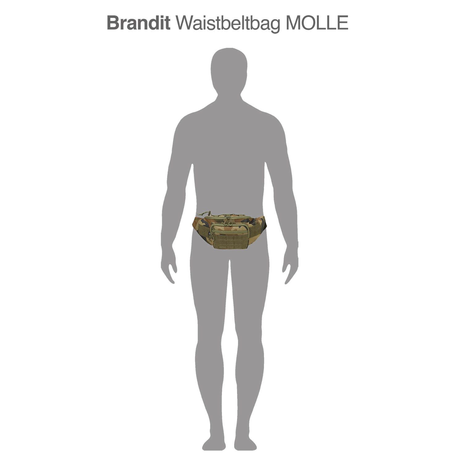Waistbeltbag Molle