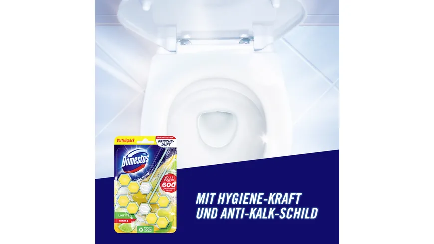 Domestos WC Stein Power 5 Limette Duo 110 g