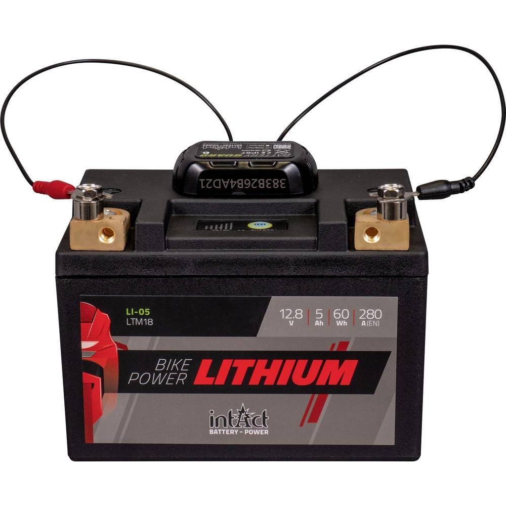intAct Batterieüberwachung 12V Bluetooth® Verbindung, Autobatterie-Ladegerät (Bluetooth® Verbindung, appfähig, Ladeüberwachung)