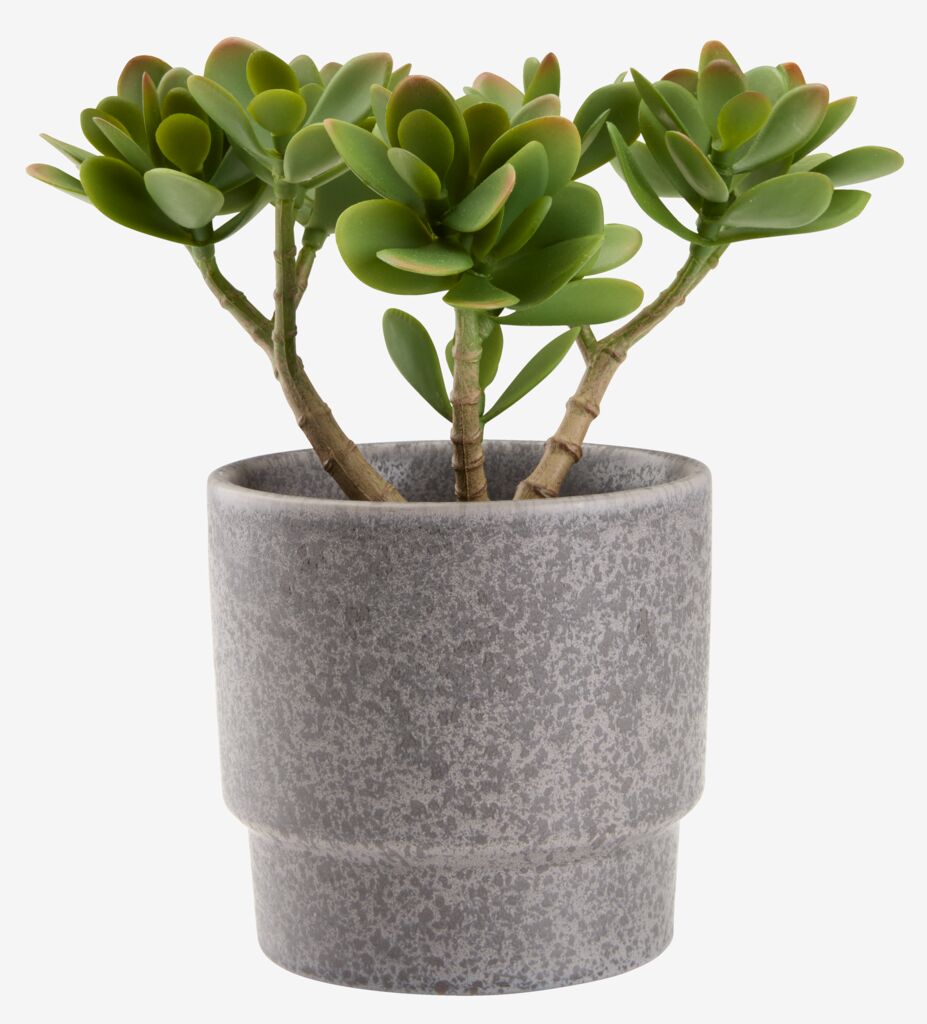 JOSTEIN Kunstig plante JOSTEIN H23cm grønn