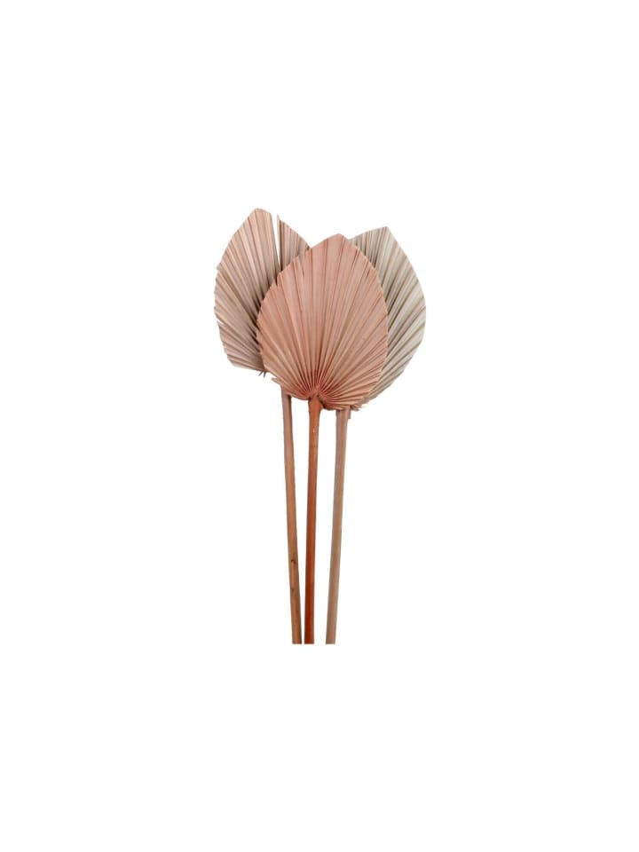 Chic Antique Deko-Palmenblatt Fleur in Natur günstig kaufen onesize