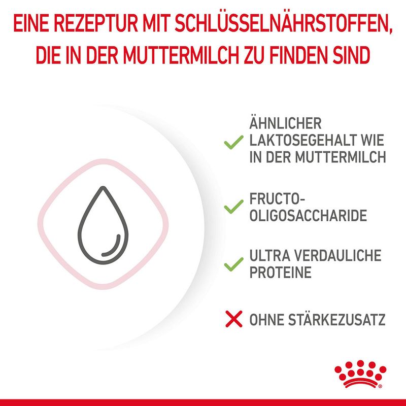 Royal Canin Babycat Milk zu TOP-Preisen