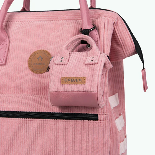 Pico Adventurer Gold Coast rose
