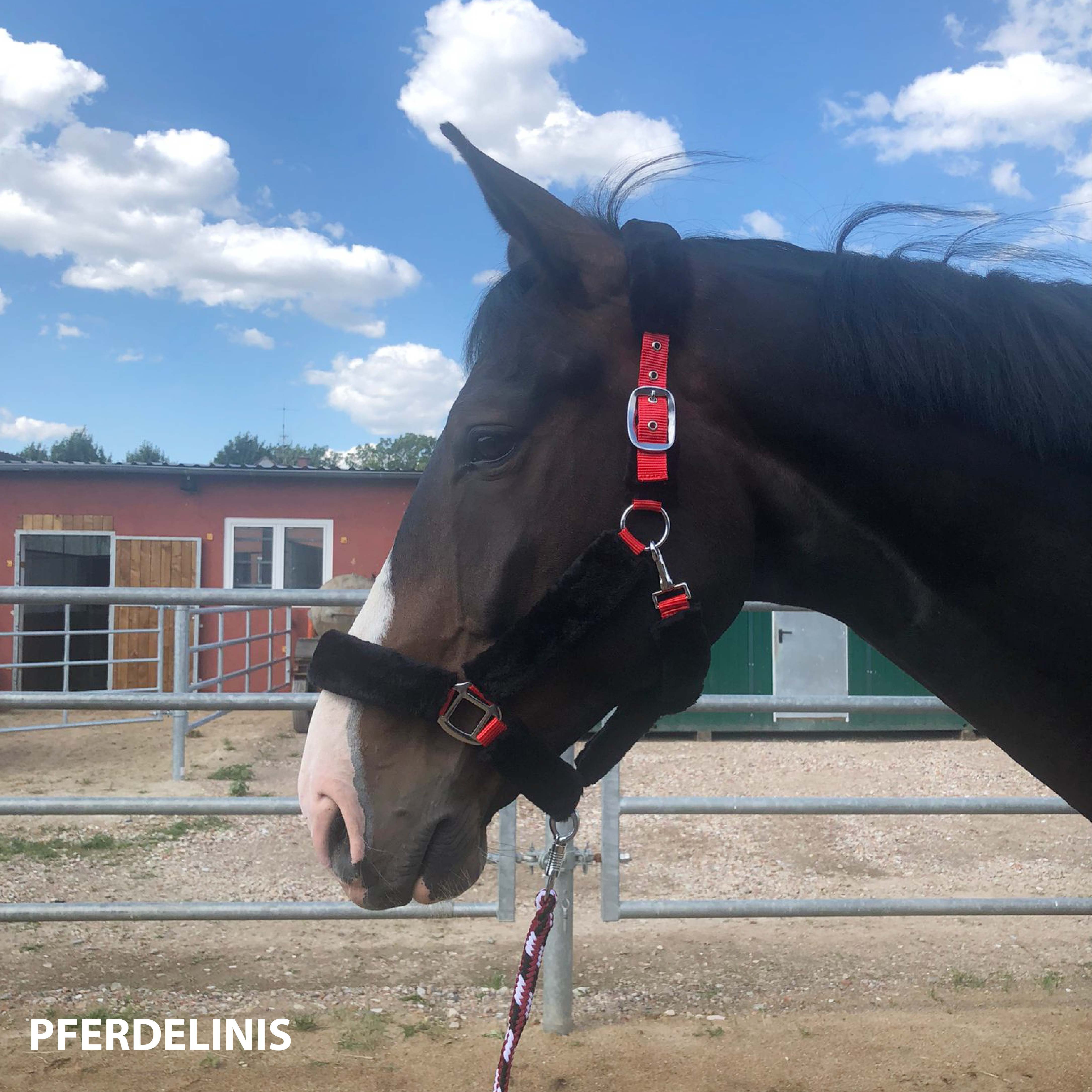 Pferdelinis Fellhalfter Halfter mit Fell Halfter für Pferde, Größen Pony Warmblut Cob Kaltblut, verstellbar