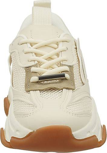 Steve Madden Sneaker