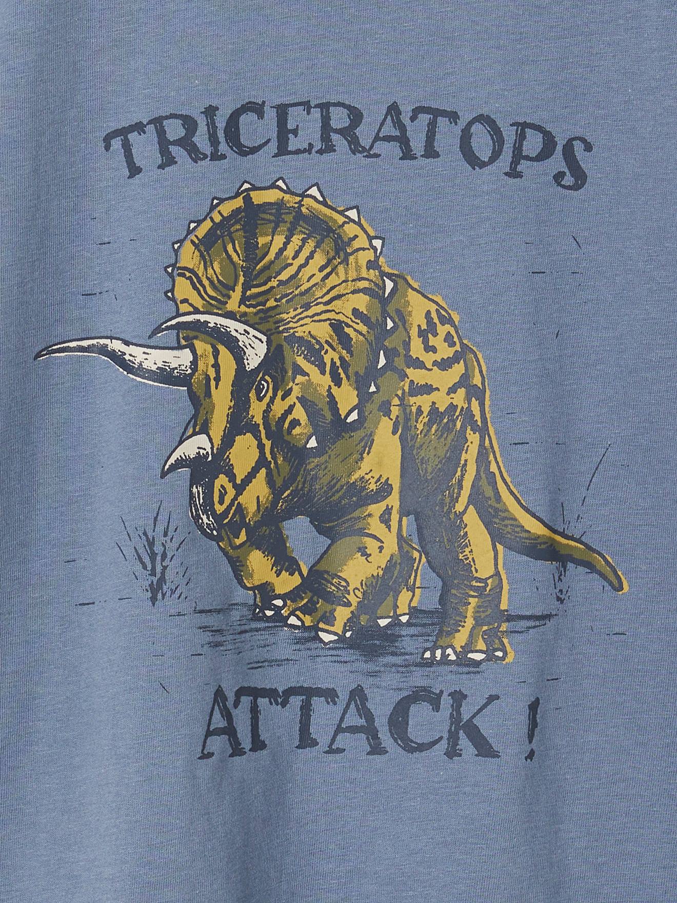 Vertbaudet Jungen T-Shirt mit Dino-Print, Recycling-Baumwolle - graublau