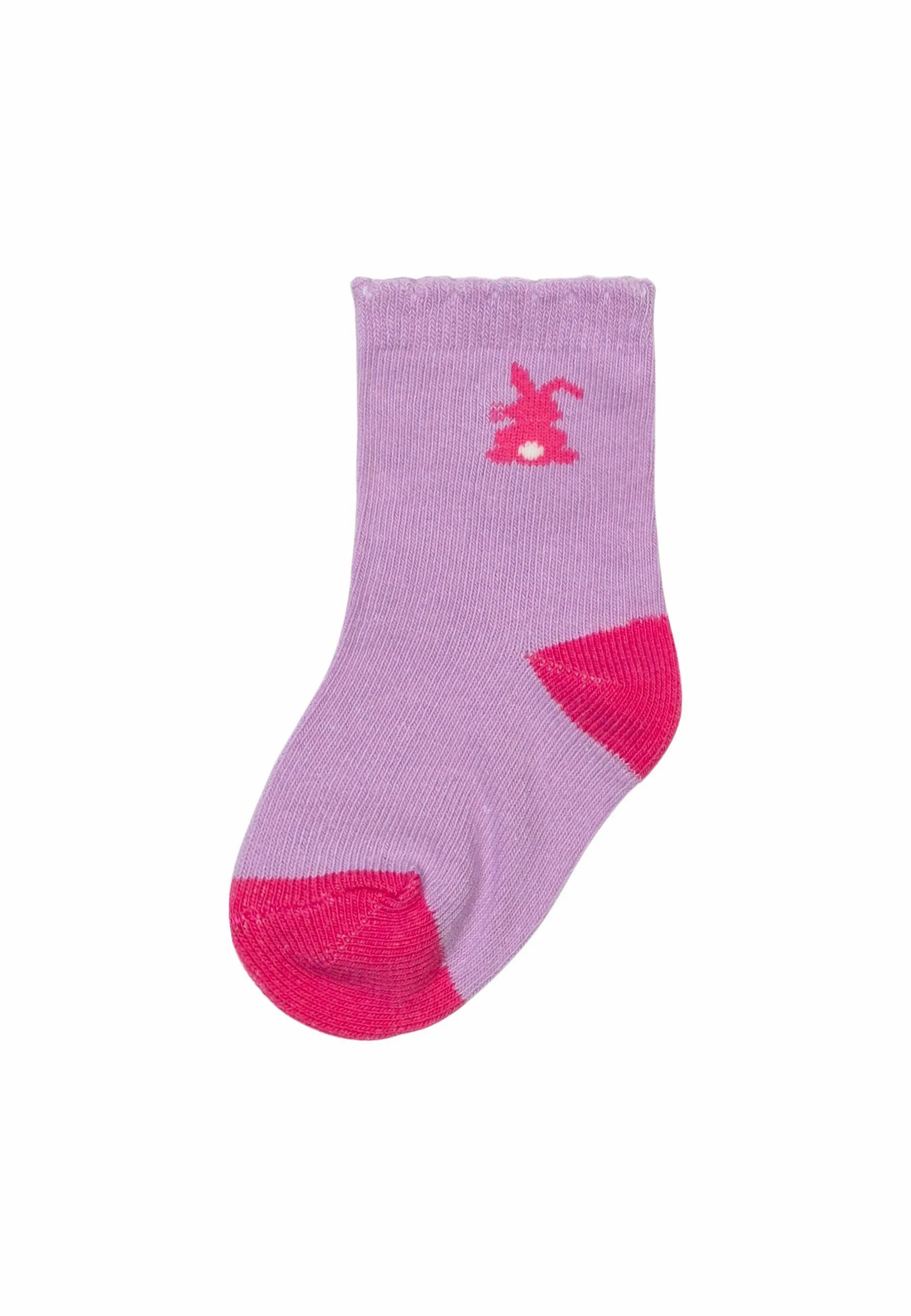 PAQUETE DE CINCO CONEJOS MINOTI - Calcetines