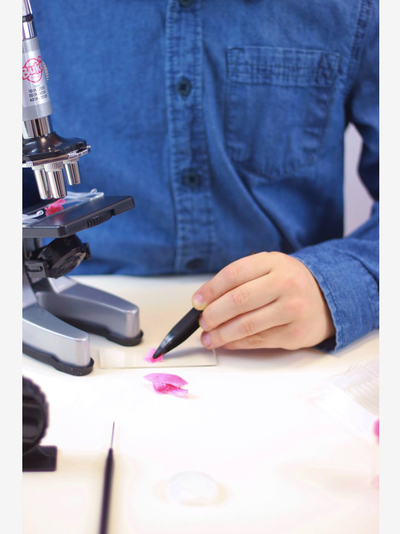 Microscope