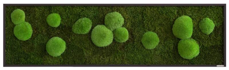 best of GREEN Moos-Wand boGsGMbWKm140x40HoSw Grün