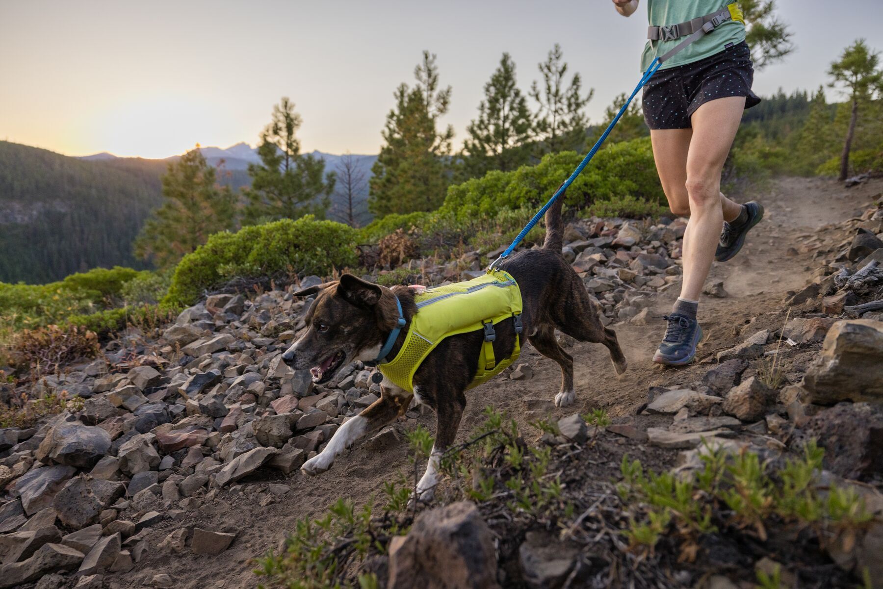 Ruffwear Hundeleinen Ruffwear Trail Runner™ Leine