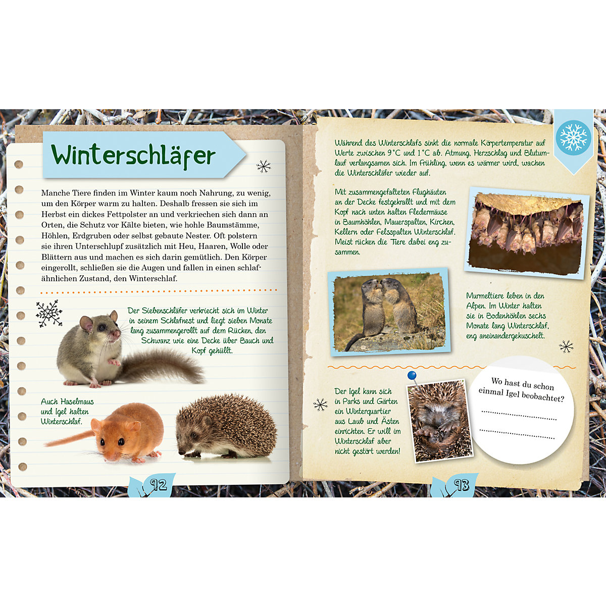 Das Naturforscher-Buch