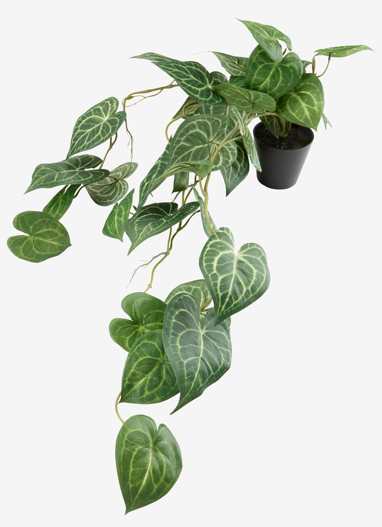 KNOPPSVANE Sztuczna roślina KNOPPSVANE W30cm zielona