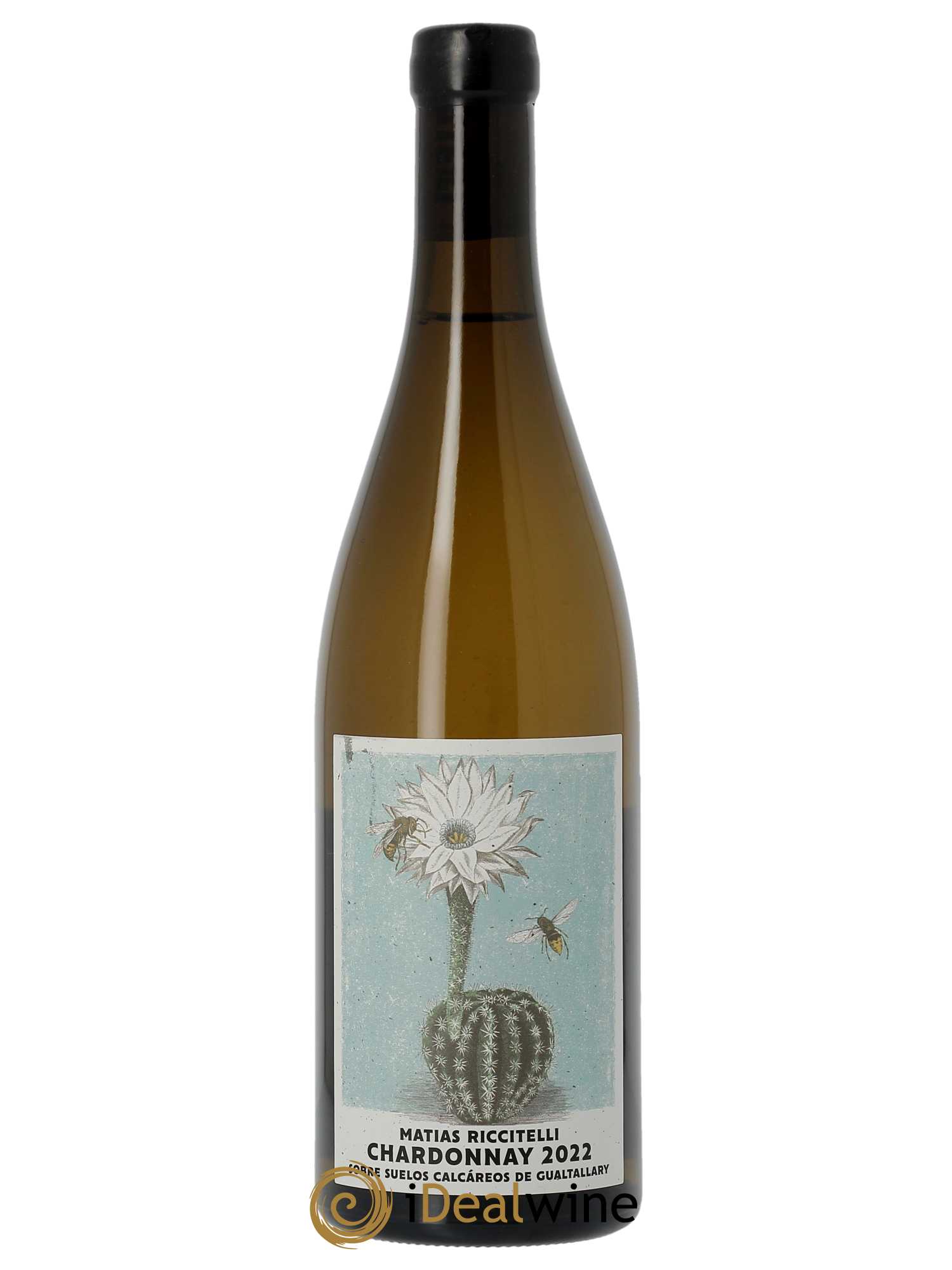 Gualtallary Matias Riccitelli Sobre Suelos Calcareos Chardonnay  2022 - Lot de 1 Bouteille