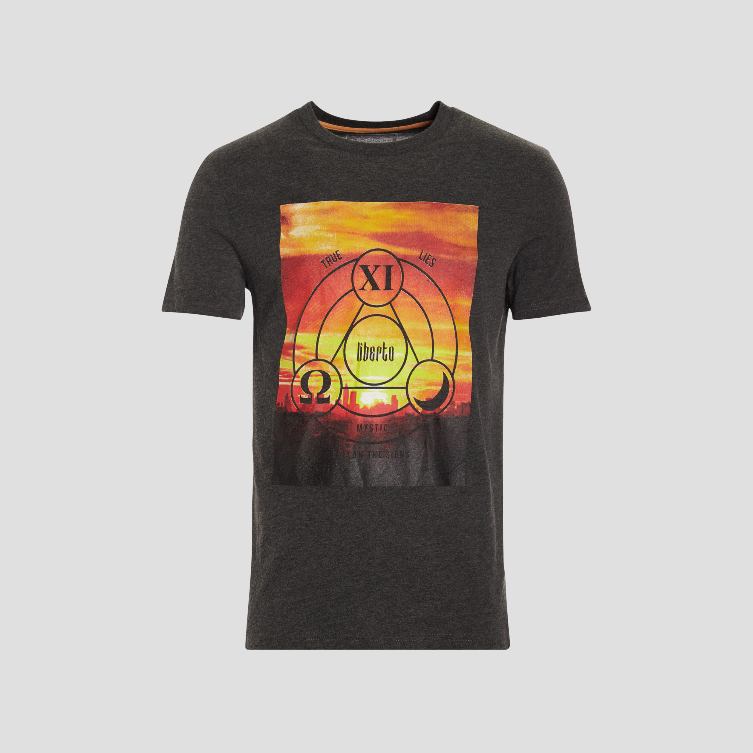 T-shirt Liberto gris foncé homme | La Halle