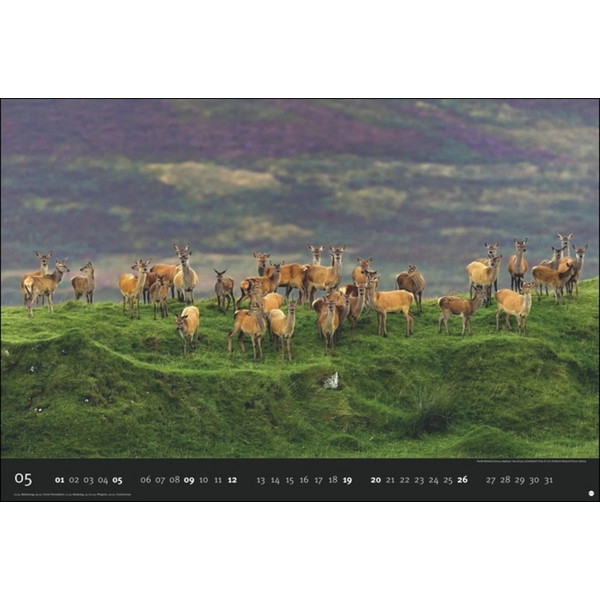 DIE LETZTE WILDNIS EDITION 2024 - Kalender