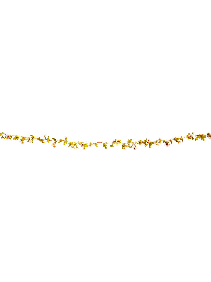 näve LED Lichterkette 