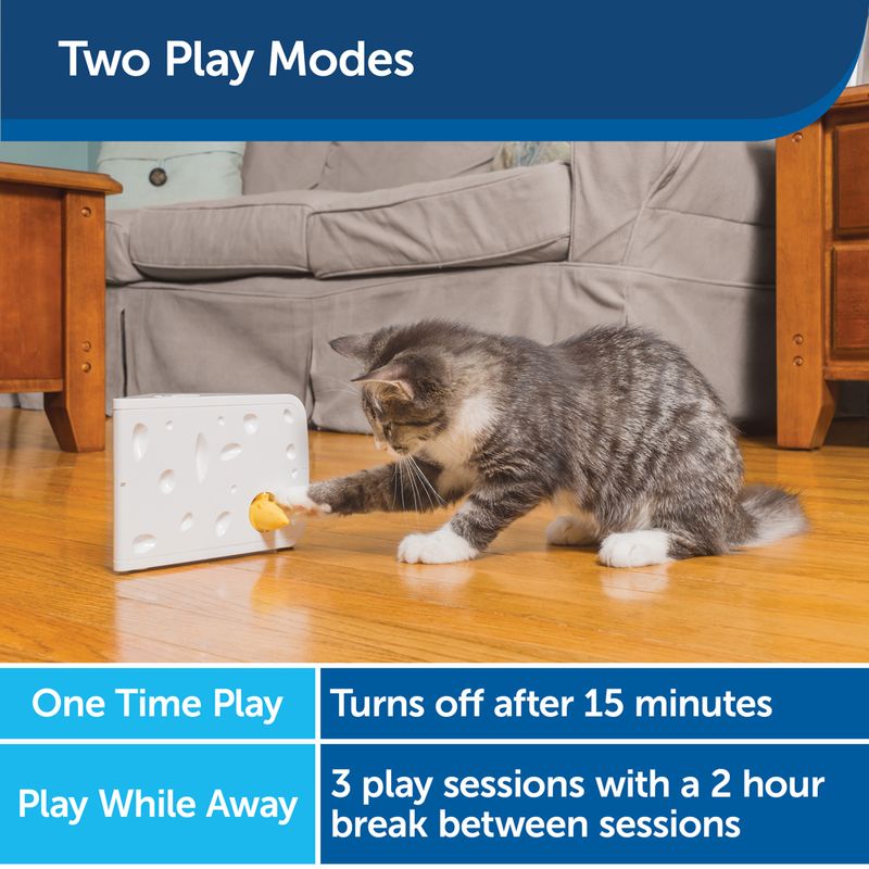 PetSafe Automatisches Katzenspielzeug Cheese