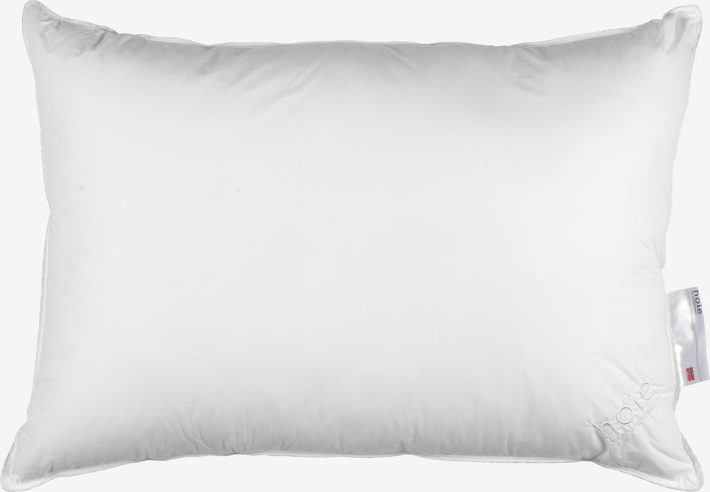 CLEAN Gold 50x70 High CLEAN Fiberpute
