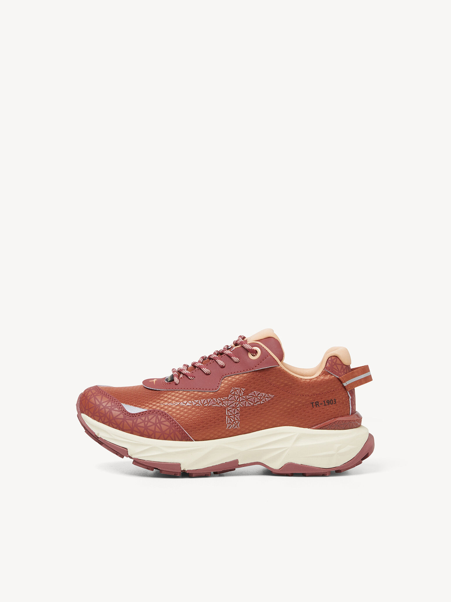 GORE-TEX Chaussure de randonnée TR-1903 - marron