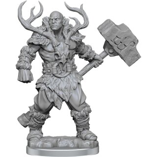 D&D Frameworks: Male Goliath Barbarian