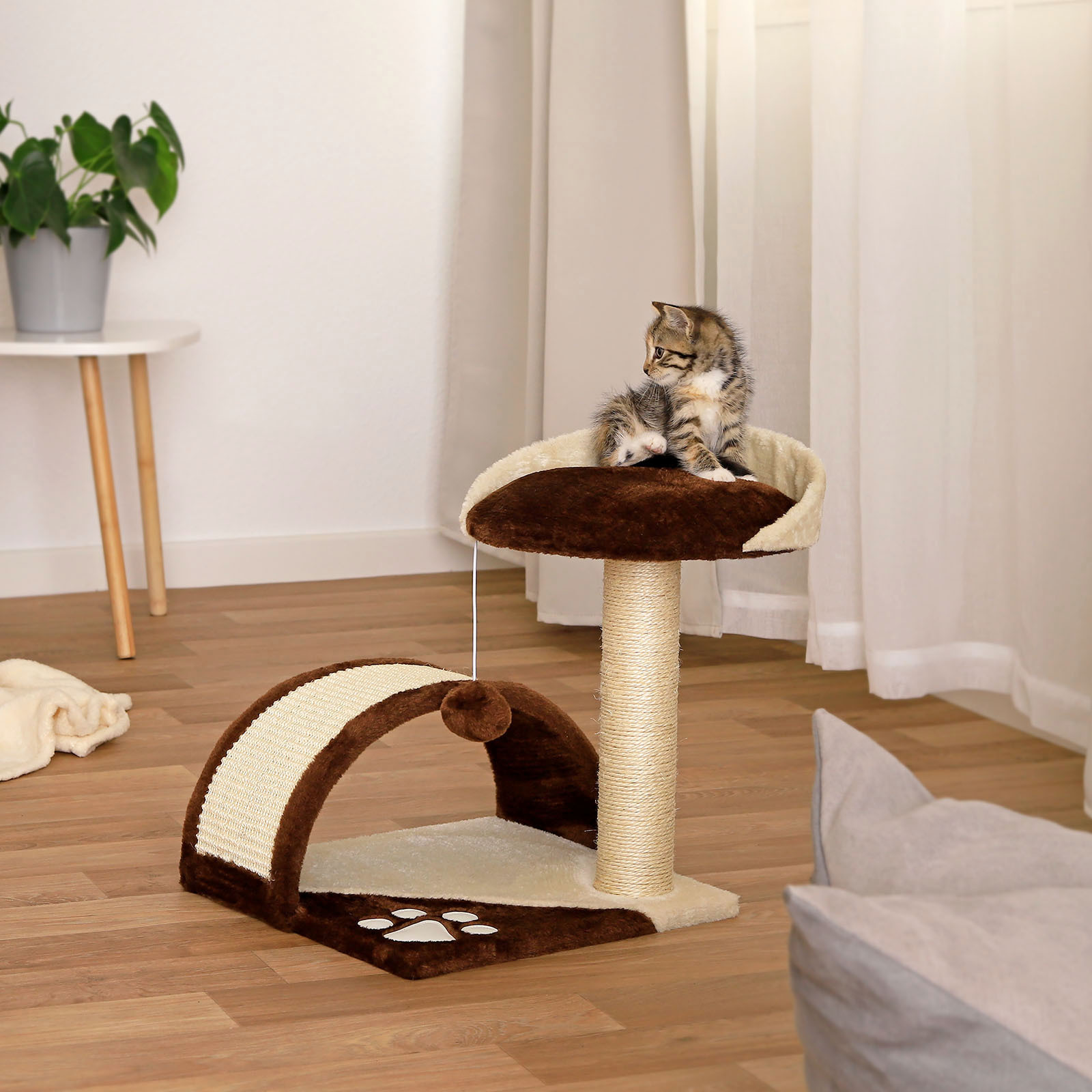 Lionto Kratzbäume Lionto Kratzbaum Höhe 43 cm braun/ beige