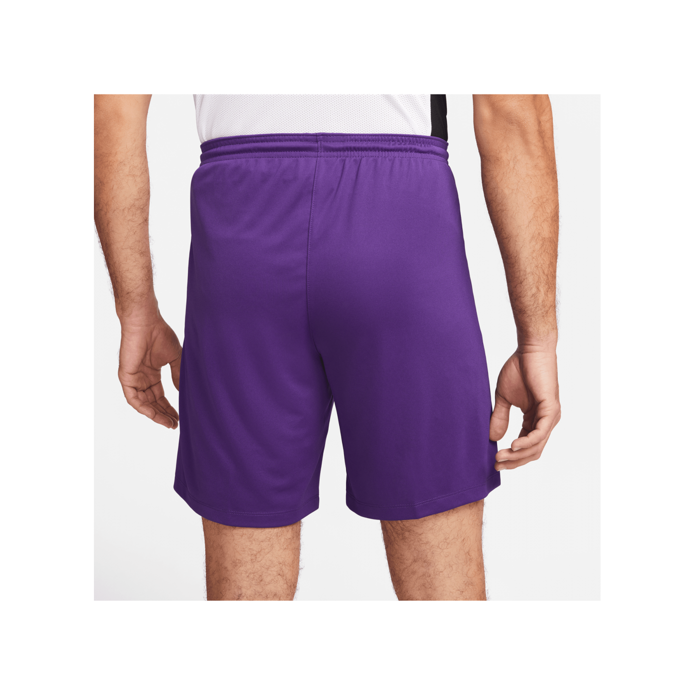 Nike Park III Short Lila F547