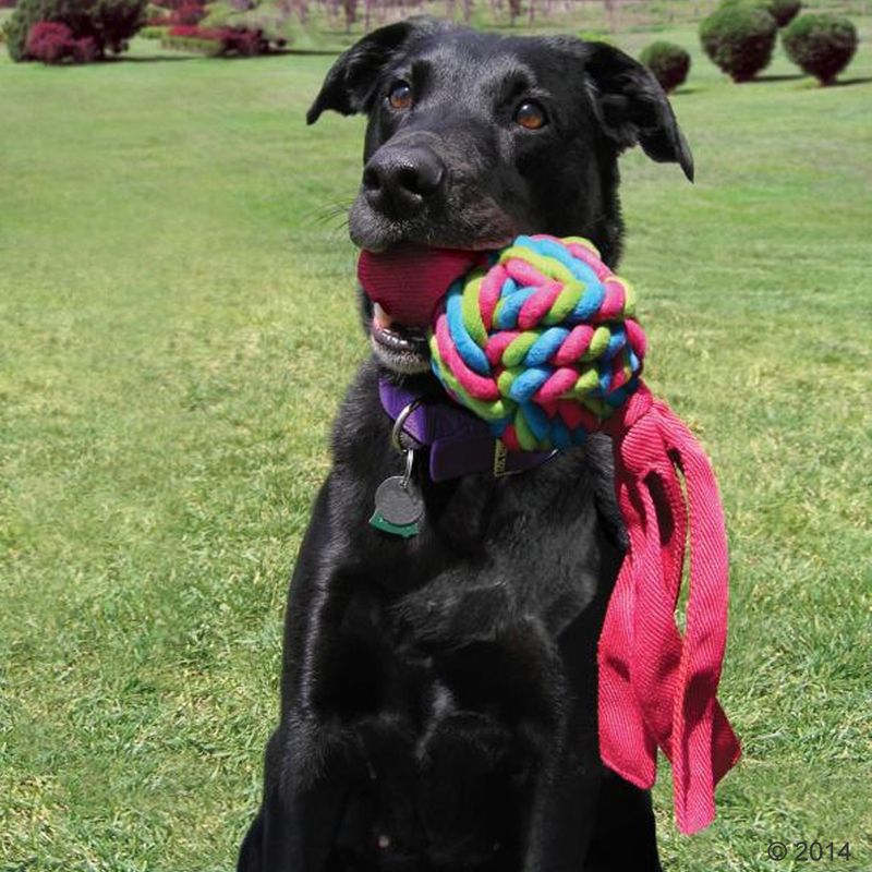 KONG Wubba Weaves zu TOP-Preisen