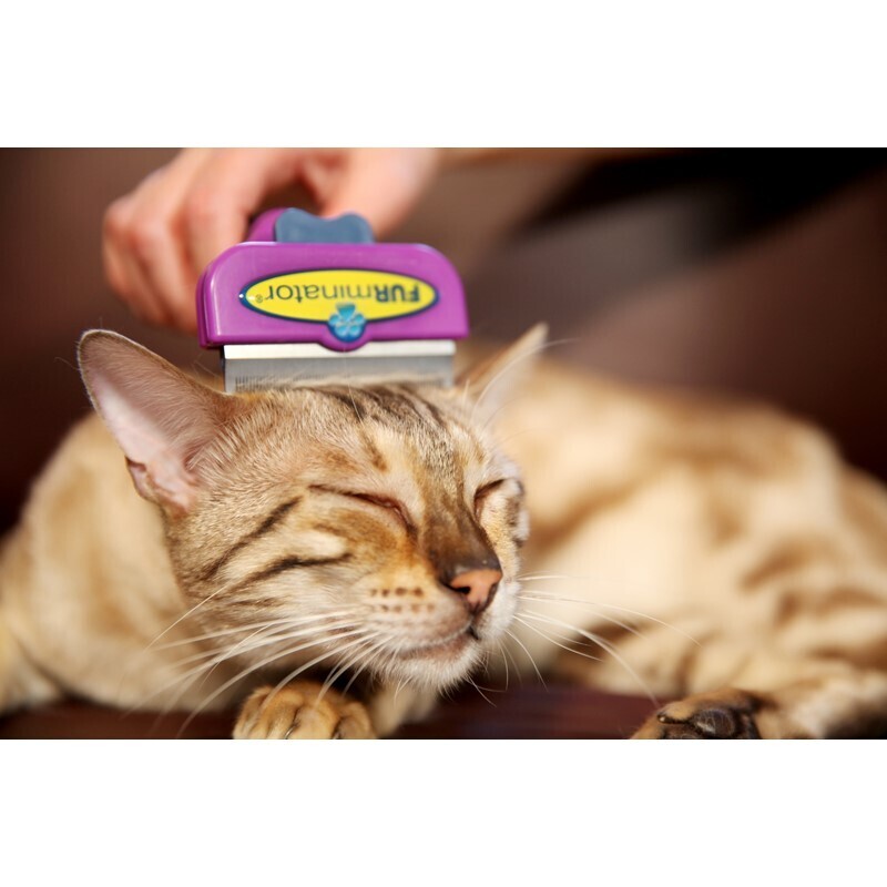 FURminator Fell- & Körperpflege FURminator Katze M-L Langhaar