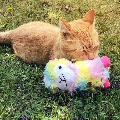 Aumüller Katzenspielzeug Alpaka Angie