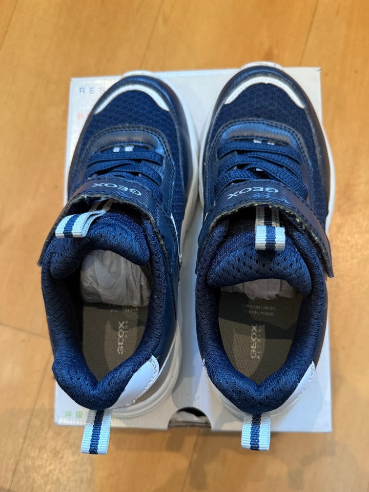 Geox Sneakers 